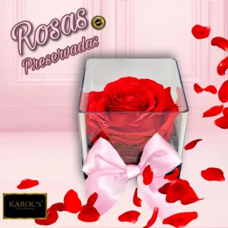 Rosa preservada en base de acrílico