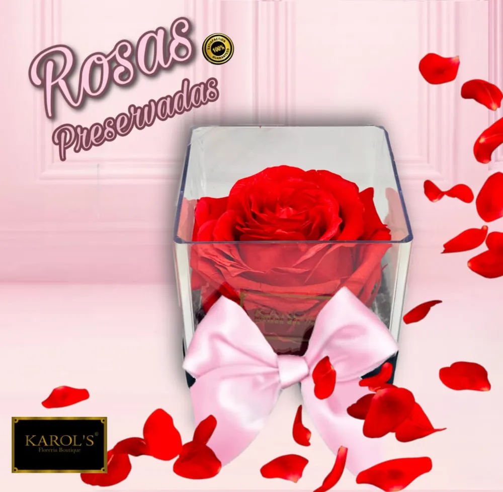 Rosa preservada en base de acrílico