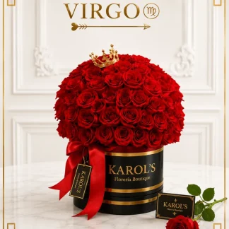 ARREGLO VIRGO