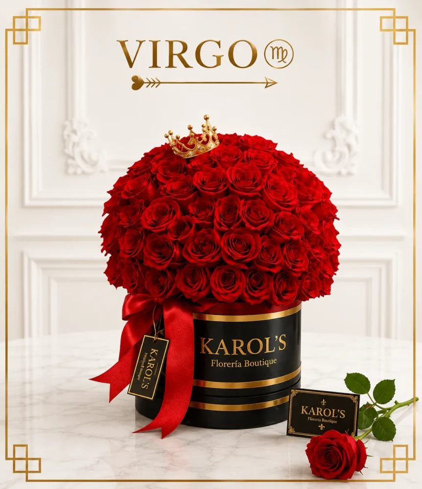 ARREGLO VIRGO