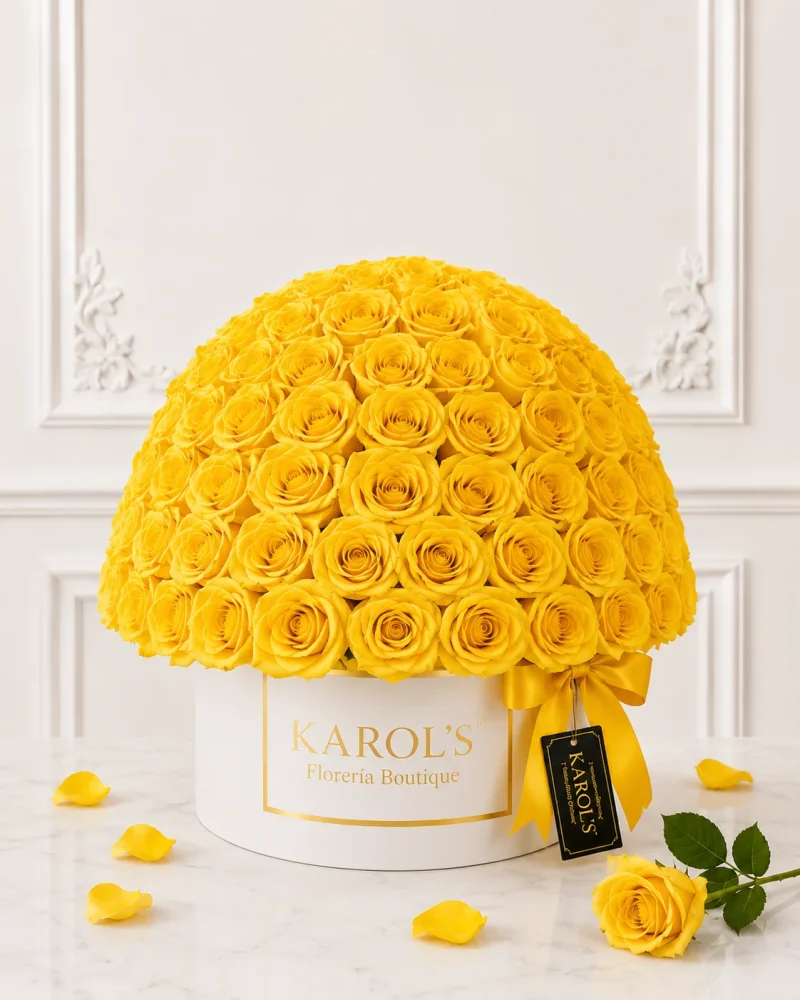 Box Deluxe KAROL’S®️✨