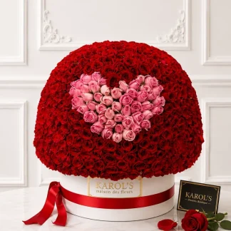 Box 800 Rosas 🌹
