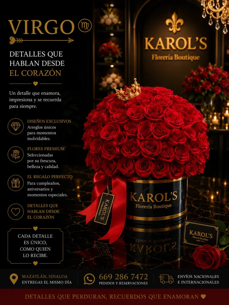 ARREGLO VIRGO