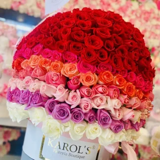 Box Karols 500 rosas