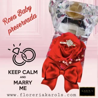 ROSA ETERNA BABY