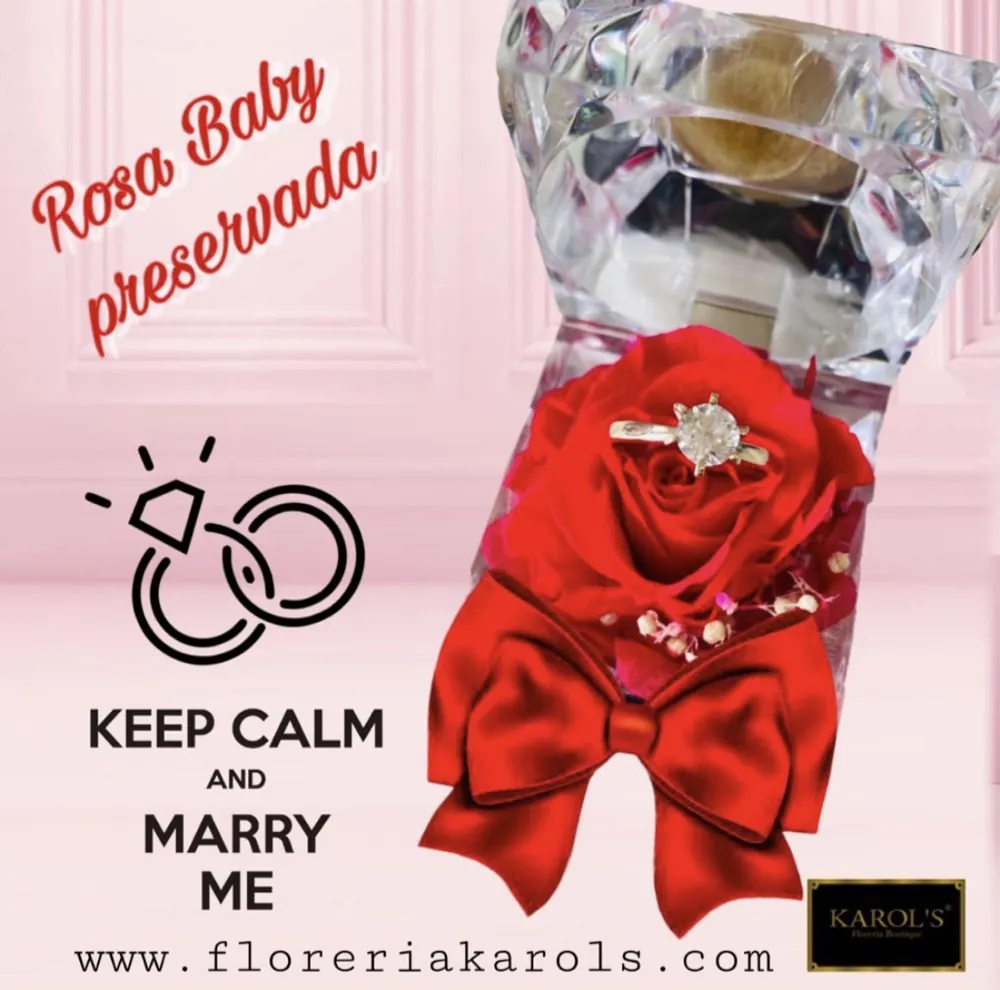 ROSA ETERNA BABY