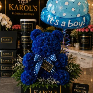 Oso it's a boy