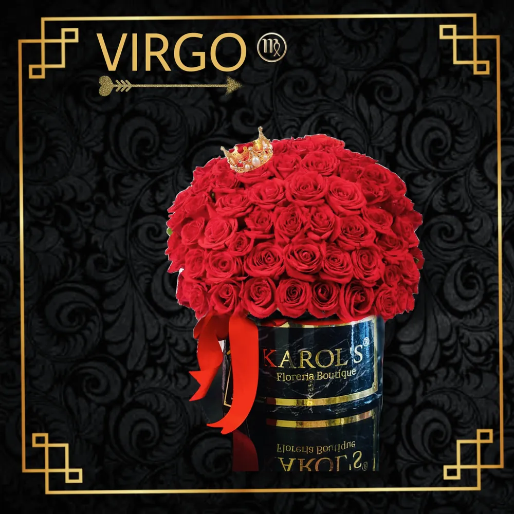ARREGLO VIRGO