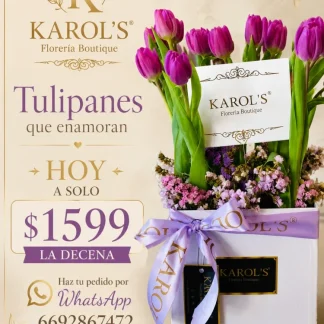 Caja 10 tulipanes 🌷