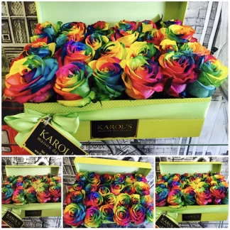 Caja 24 rosas arcoiris