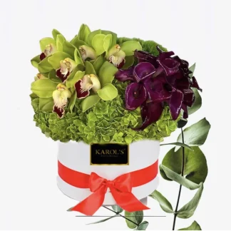Caja orquídea Garden