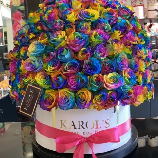 Box Arcoiris