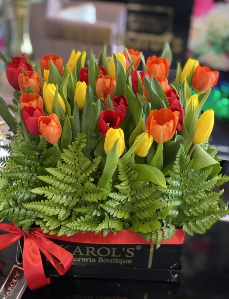 Tulipan versatil
