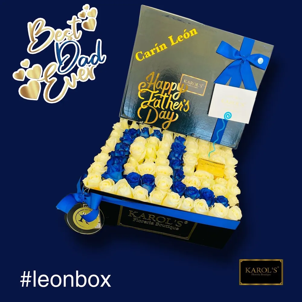 Box León