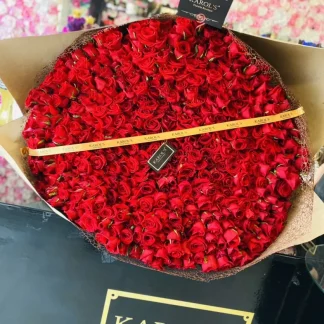Ramo de 500 rosas rojas 🌹