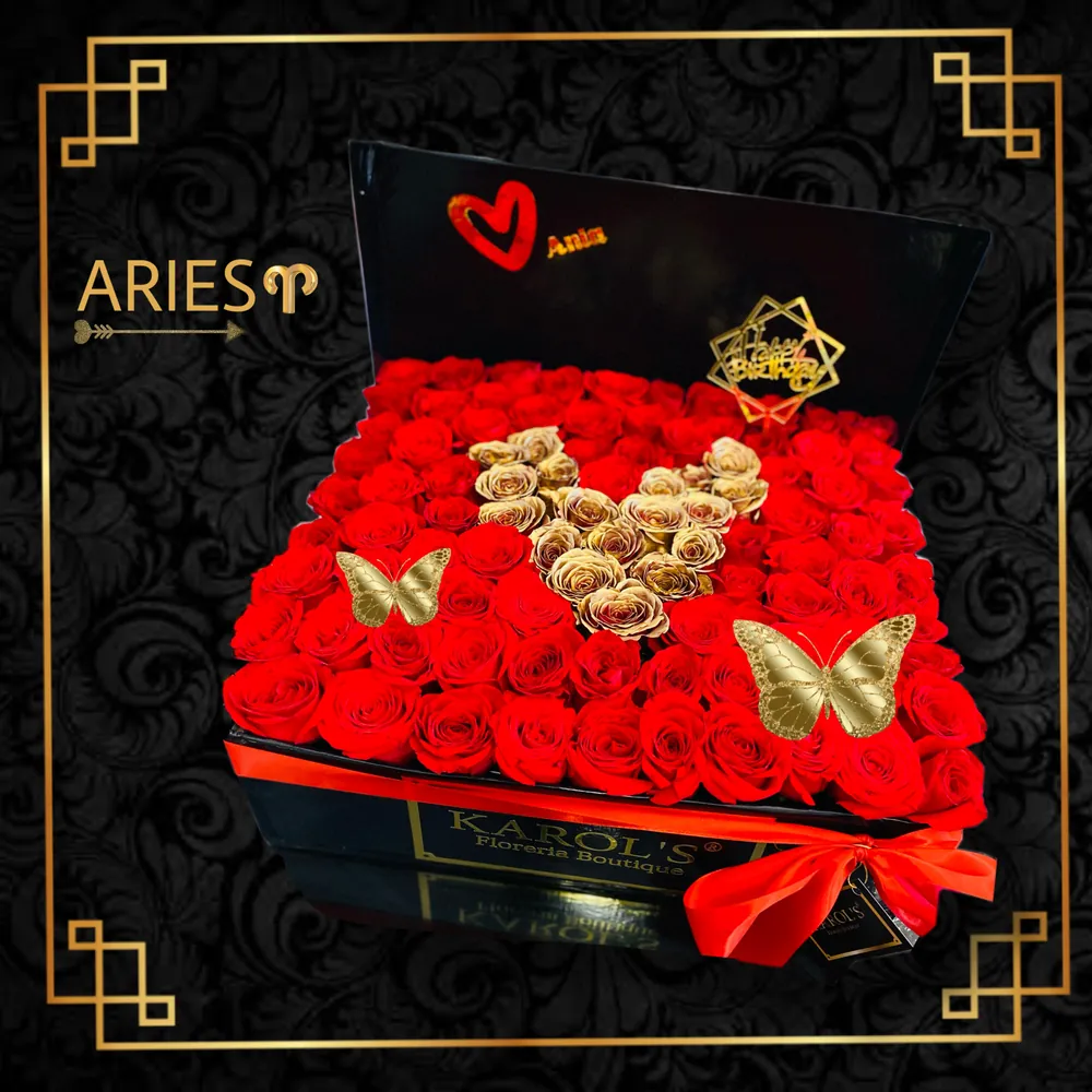 ARIES