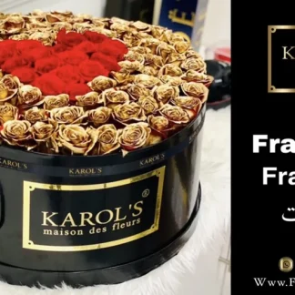 franquicia KAROL'S®