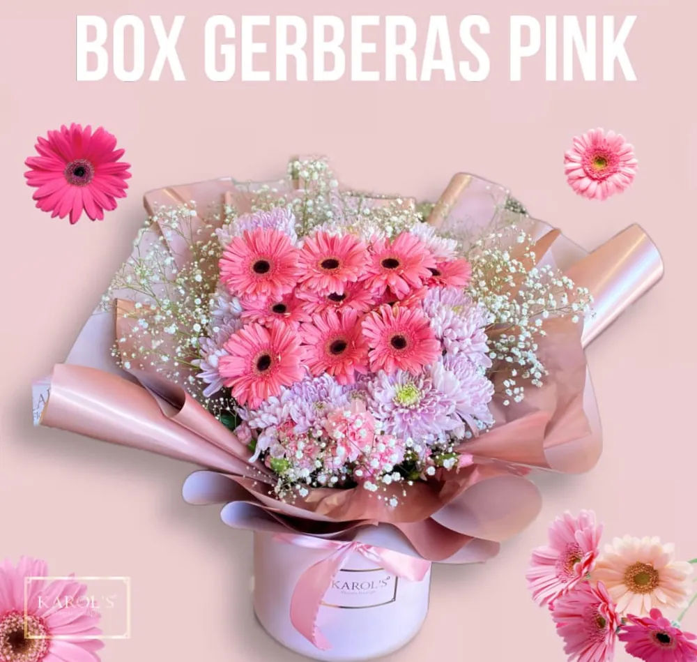 Box Gerberas Pink