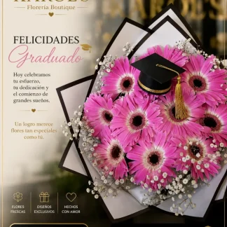 Gerberas Pink