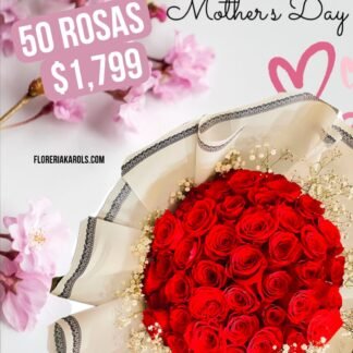 50 Rosas Rojas con gypsophilia