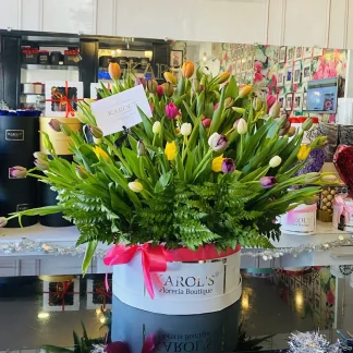 Box 100 tulipanes 🌷
