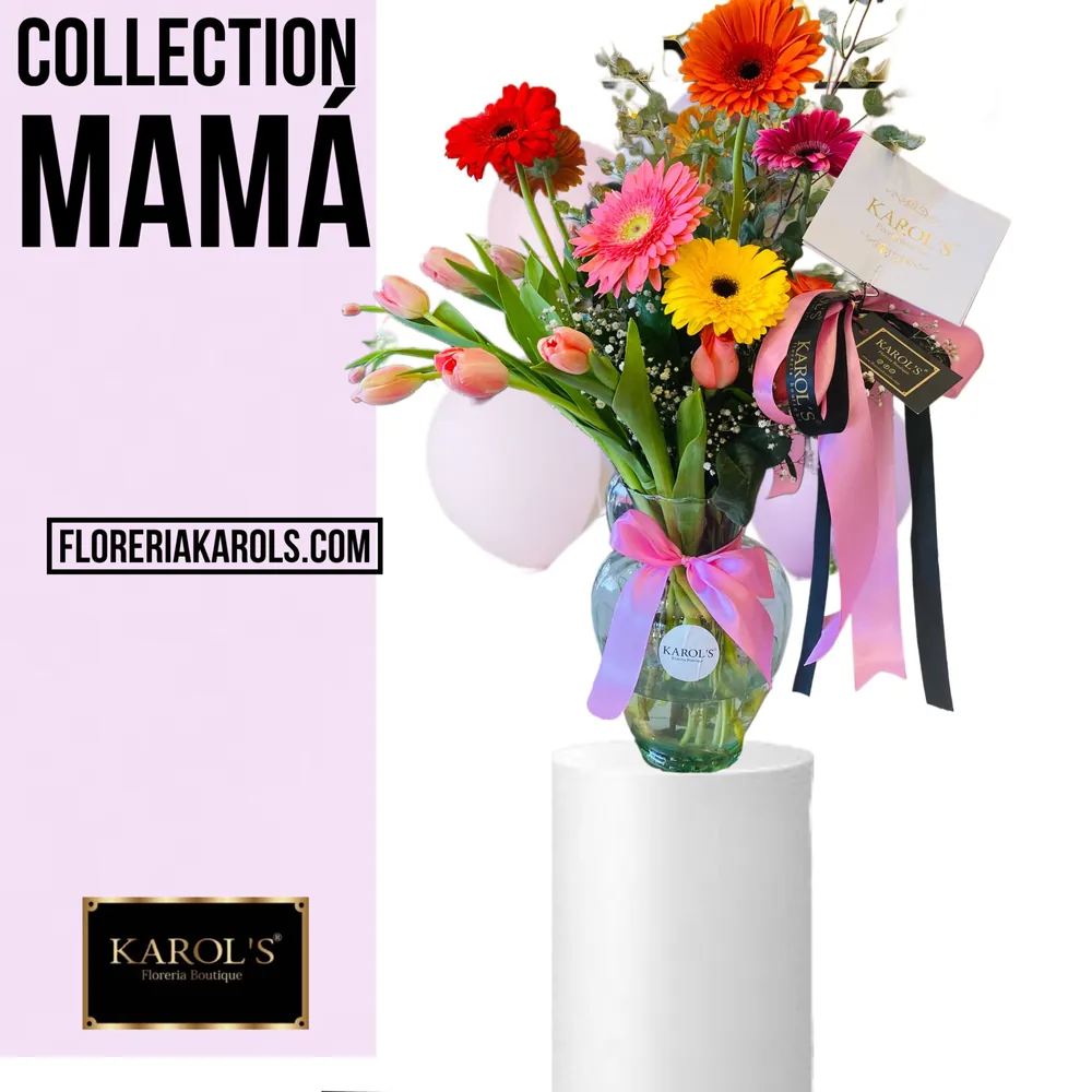 Mamá Exitosa