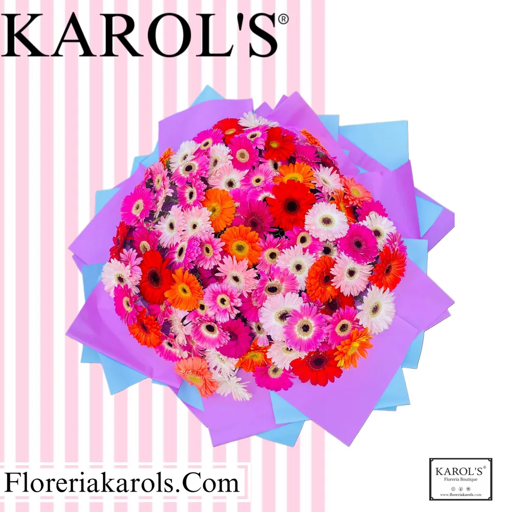 100 GERBERAS
