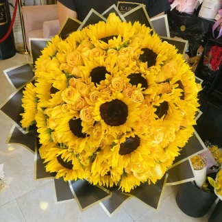 Girasoles en mazatlán