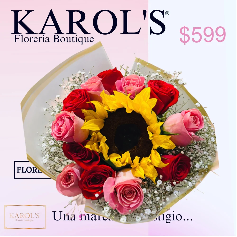 12 Latidos de Sol ☀️