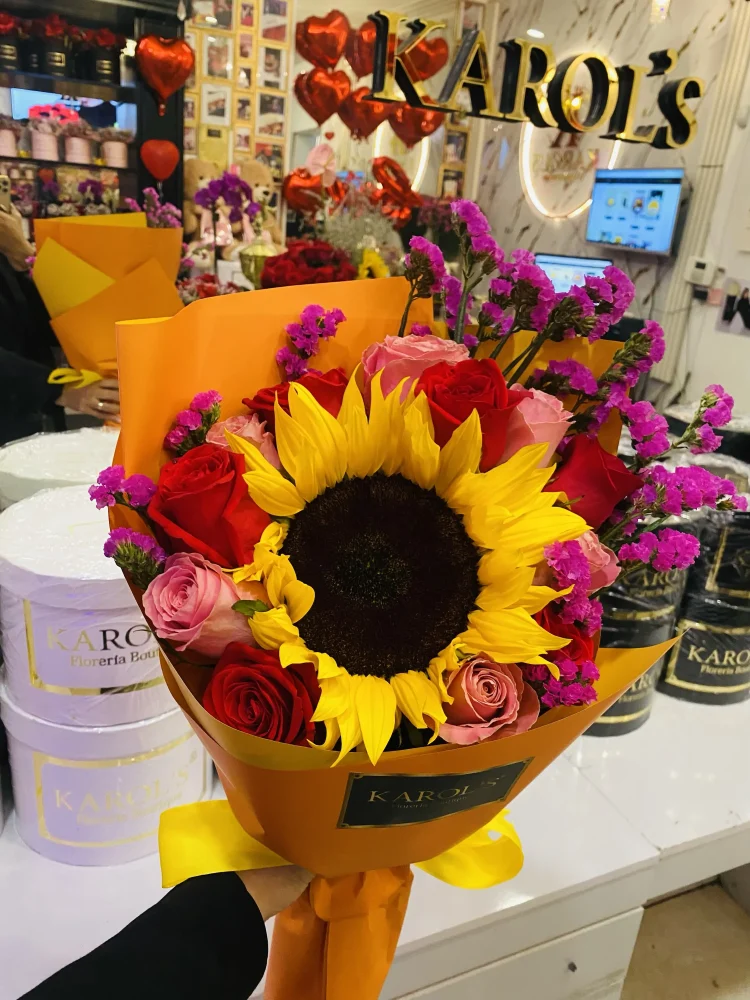 12 Latidos de Sol ☀️