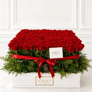 500 rosas en caja