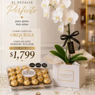 Orquídeas en Mazatlán