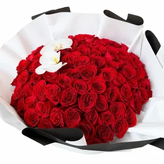 ramo de 100 rosas rojas