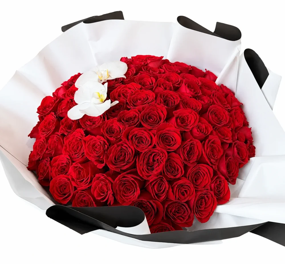 100 rosas 🌹 KAROL’S®️