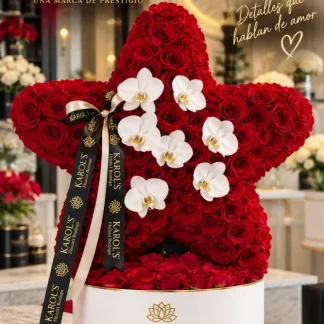 Estrella roja 🌹⭐️
